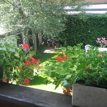 Apartment Gästehaus Hilbrand